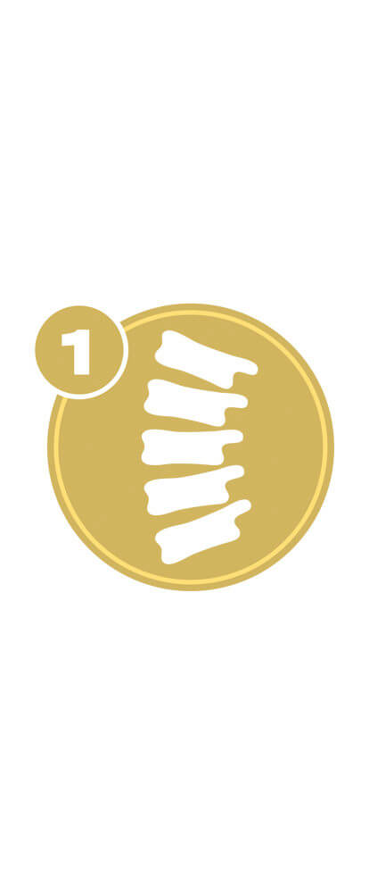 Gold circle with spine icon and number 1 representing Spine Level 1 certification.