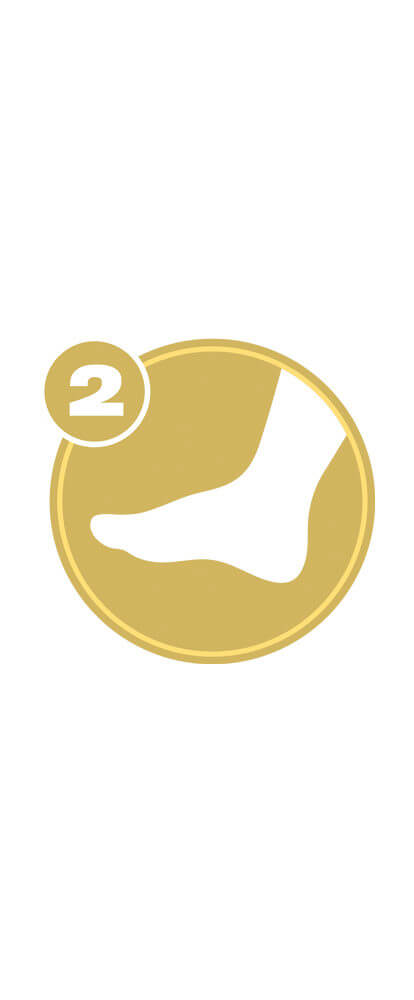 Gold circle with white foot icon and number 2 representing Lower Extremity Level 2 certification.