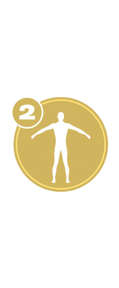 Gold circle with white full body icon and number 2 representing Full Body Level 2 certification.
