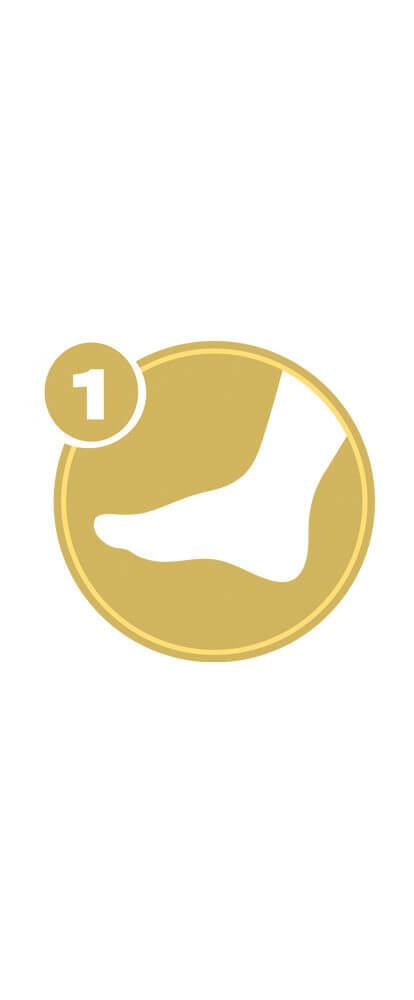 Gold circle with white foot icon and number 1 representing Lower Extremity Level 1 certification.