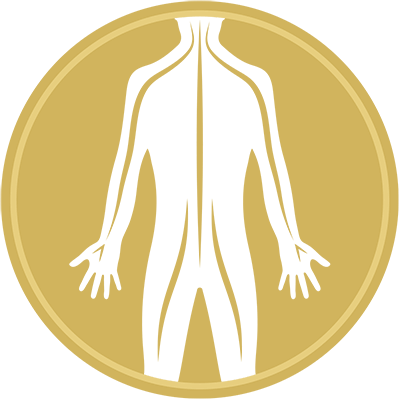 Gold circle with white full body and nerves representing Nerve certification.