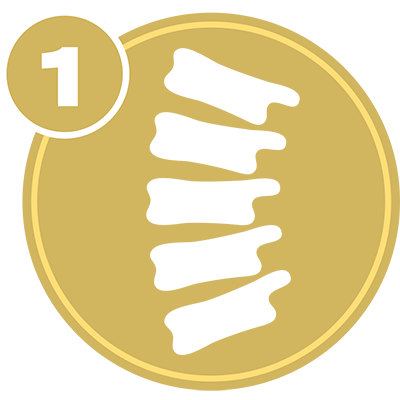 Gold circle with spine icon and number 1 representing Spine Level 1 certification.