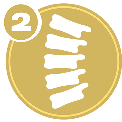Gold circle with white spine icon and number 2 representing Spine Level 2 certification.